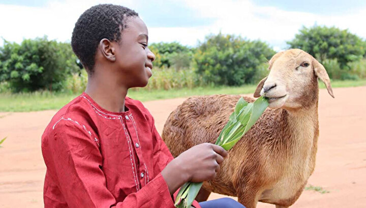 Afrika’da Kurban Yardımları